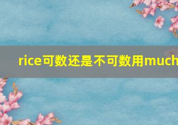 rice可数还是不可数用much