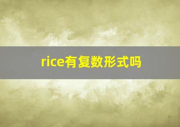 rice有复数形式吗