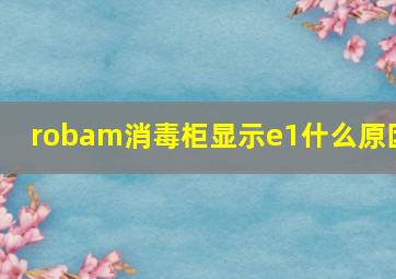 robam消毒柜显示e1什么原因