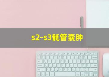 s2-s3骶管囊肿