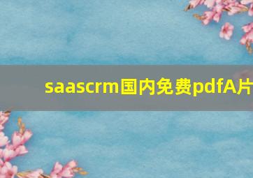 saascrm国内免费pdfA片