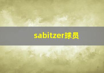 sabitzer球员