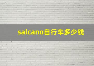 salcano自行车多少钱