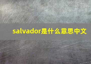 salvador是什么意思中文