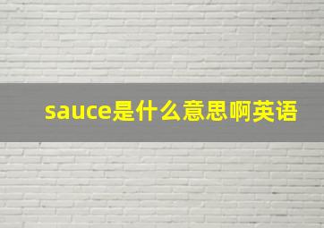 sauce是什么意思啊英语