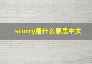 scurry是什么意思中文