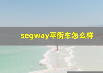 segway平衡车怎么样