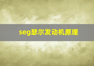 seg瑟尔发动机原理