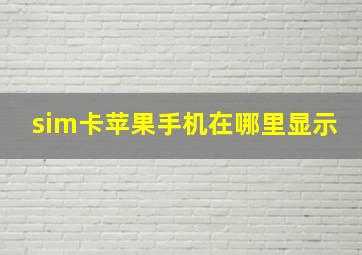 sim卡苹果手机在哪里显示