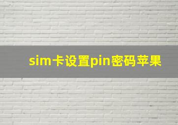 sim卡设置pin密码苹果