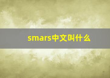 smars中文叫什么