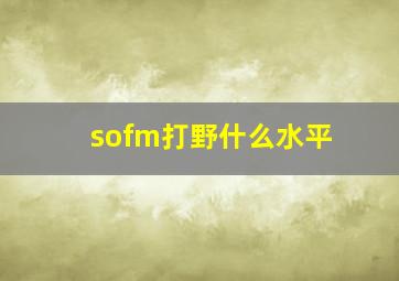 sofm打野什么水平