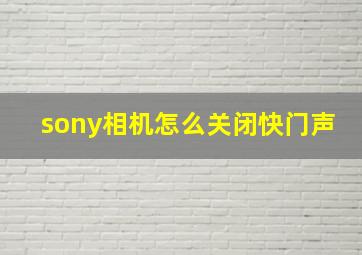 sony相机怎么关闭快门声