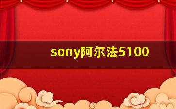 sony阿尔法5100