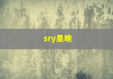 sry是啥