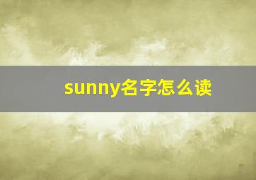 sunny名字怎么读