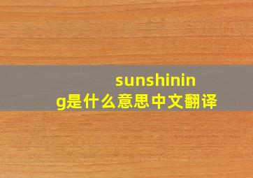 sunshining是什么意思中文翻译