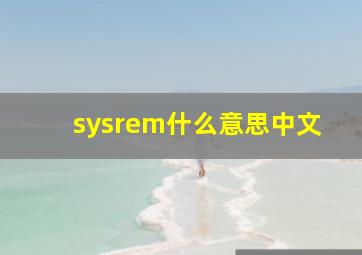 sysrem什么意思中文