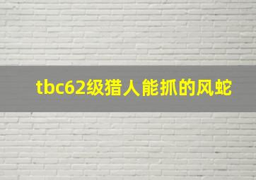 tbc62级猎人能抓的风蛇