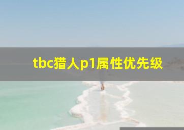 tbc猎人p1属性优先级