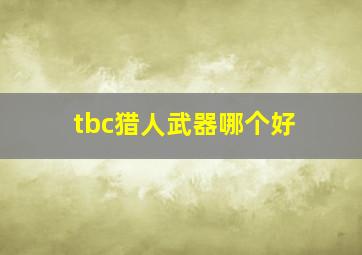 tbc猎人武器哪个好