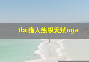 tbc猎人练级天赋nga