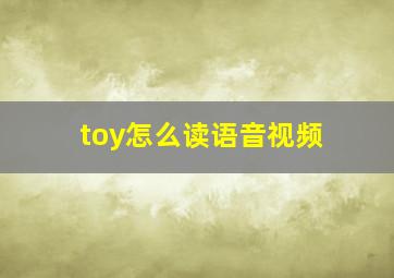 toy怎么读语音视频