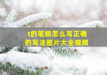 t的笔顺怎么写正确的写法图片大全视频