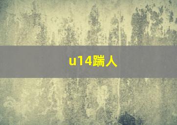 u14踹人