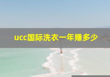 ucc国际洗衣一年赚多少