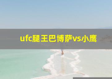 ufc腿王巴博萨vs小鹰