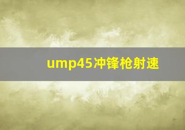 ump45冲锋枪射速