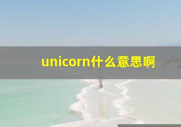 unicorn什么意思啊