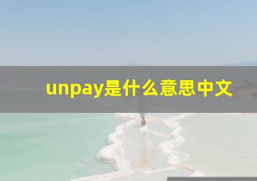 unpay是什么意思中文