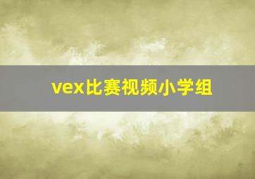 vex比赛视频小学组