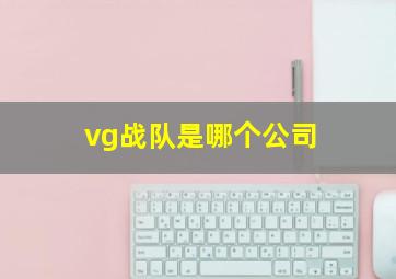 vg战队是哪个公司