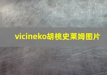 vicineko胡桃史莱姆图片