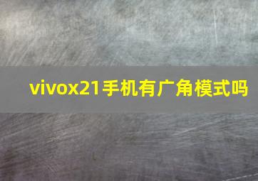 vivox21手机有广角模式吗