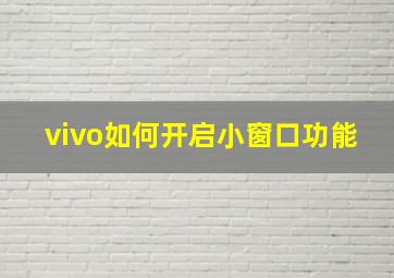 vivo如何开启小窗口功能