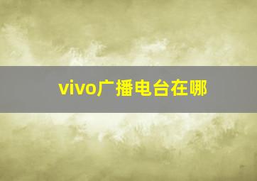 vivo广播电台在哪