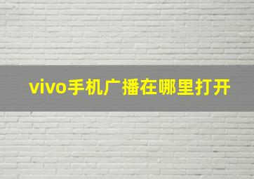 vivo手机广播在哪里打开