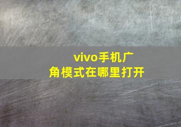 vivo手机广角模式在哪里打开