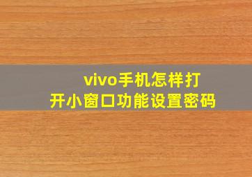 vivo手机怎样打开小窗口功能设置密码