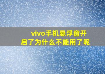 vivo手机悬浮窗开启了为什么不能用了呢