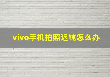 vivo手机拍照迟钝怎么办