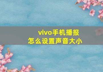 vivo手机播报怎么设置声音大小