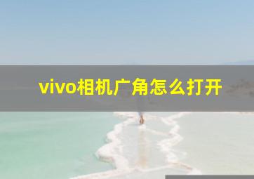 vivo相机广角怎么打开