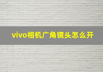 vivo相机广角镜头怎么开