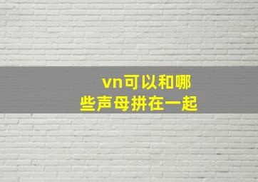 vn可以和哪些声母拼在一起