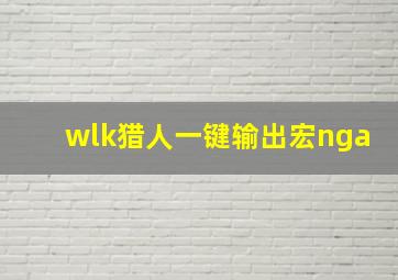 wlk猎人一键输出宏nga